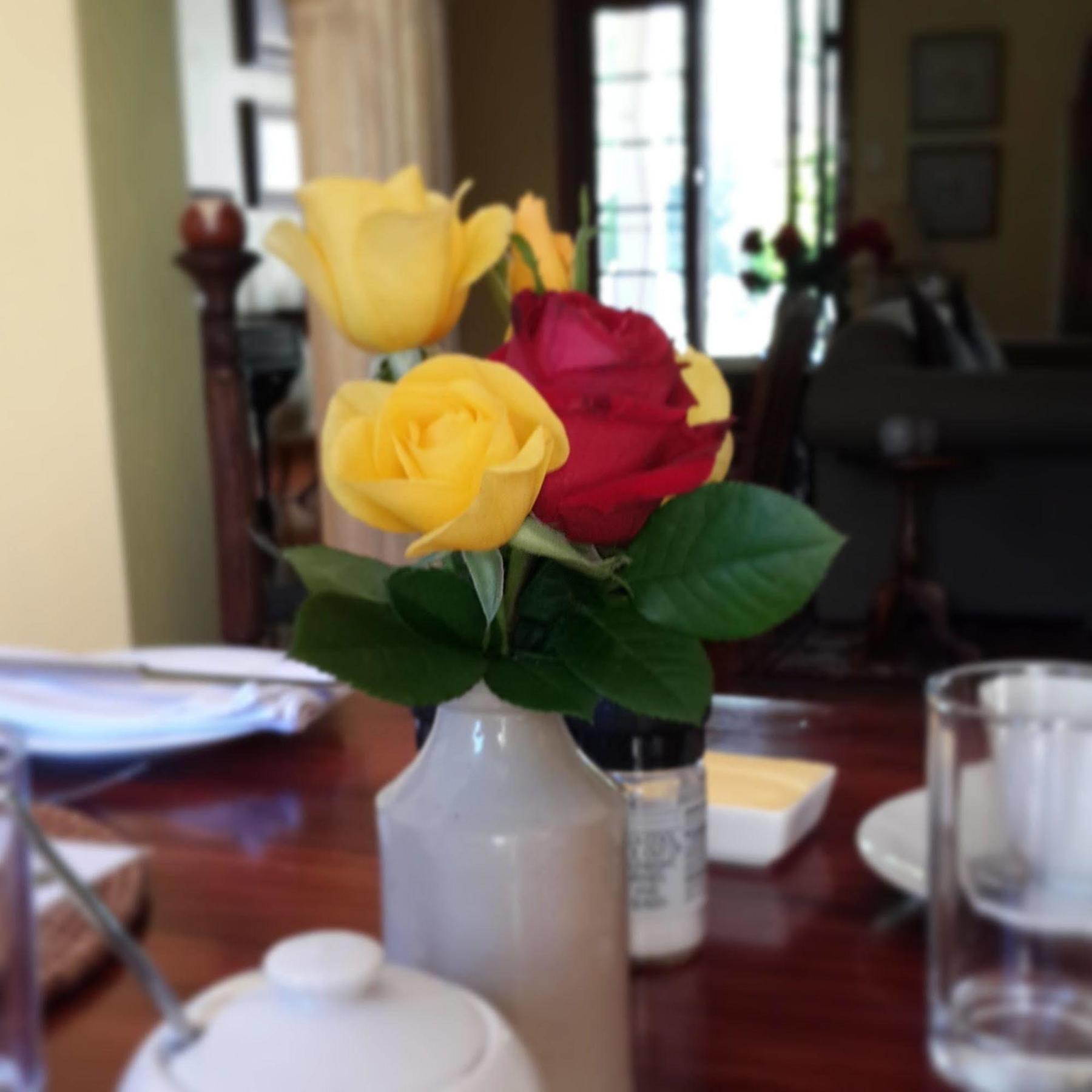 Hopefield Country House Addo Εξωτερικό φωτογραφία