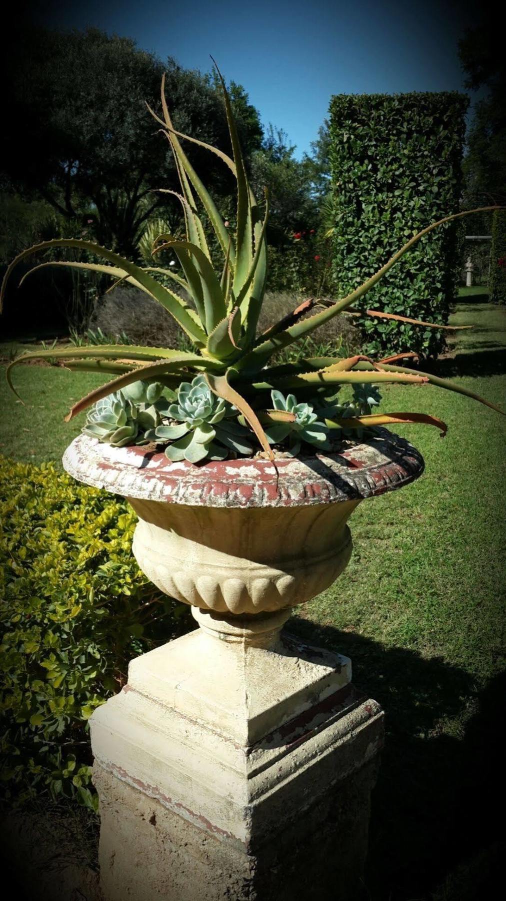 Hopefield Country House Addo Εξωτερικό φωτογραφία