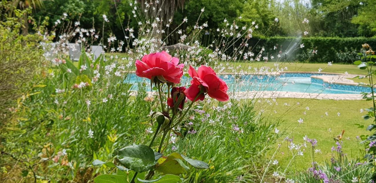 Hopefield Country House Addo Εξωτερικό φωτογραφία